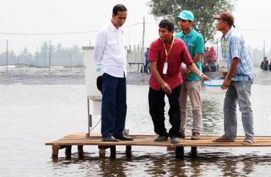 PLN Pasok Listrik untuk Petambak di Muara Gembong