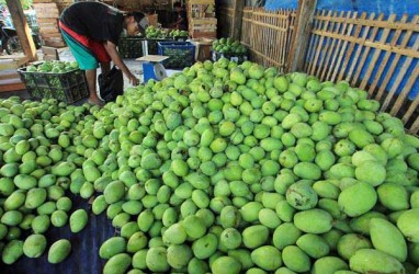 Mangga Bisa Tahan Busuk Hingga Empat Pekan