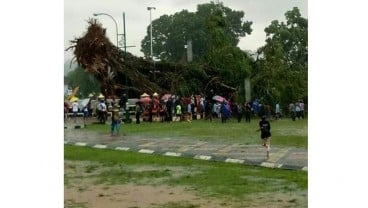 ANGIN KENCANG HANTAM BANJARNEGARA :  Ini Pentingnya Mitigasi Bencana Angin Kencang