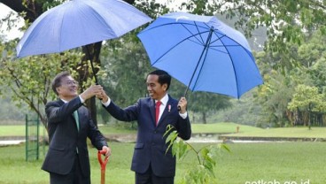 Diplomasi Payung Biru Jokowi dan Moon Jae-in Di Istana Bogor