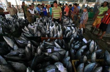 Maroko Ingin Belajar Budidaya Ikan dari RI