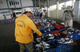 AKSES PEMBIAYAAN : 11.000 Lahan Budidaya Ikan Disertifikasi