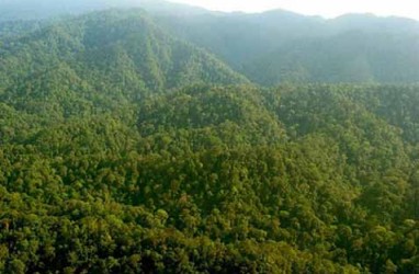 PENGURANGAN DEFORESTASI : Payung Hukum Pendanaan Disahkan