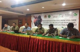 Satgas Perusahaan Didorong untuk Penyelamatan Orangutan di Kaltim