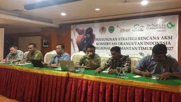 Satgas Perusahaan Didorong untuk Penyelamatan Orangutan di Kaltim