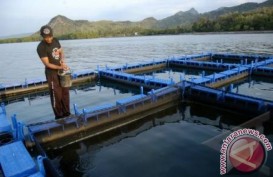Keramba Jaring Apung Offshore Segera Terwujud di Indonesia