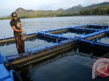 Keramba Jaring Apung Offshore Segera Terwujud di Indonesia