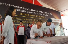 PTPN XI Mulai Diversifikasi Edamame Tahun Depan