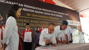 PTPN XI Mulai Diversifikasi Edamame Tahun Depan