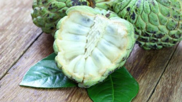 10 Manfaat Buah Srikaya, Salah Satunya Mencegah Risiko Diabetes