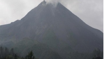 PASCAERUPSI MERAPI, Penghijauan Baru Mencapai 90 Hektare