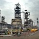 SCG Didorong Segera Bangun Pabrik Petrokimia US$600 Juta