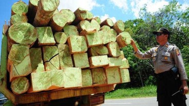 APHI: Bursa Kayu Online Akan Geser Arah Manajemen Hutan