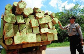 APHI: Bursa Kayu Online Akan Geser Arah Manajemen Hutan