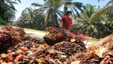 Dana Insentif Biodiesel BPDP Kelapa Sawit Rp5,7 Triliun