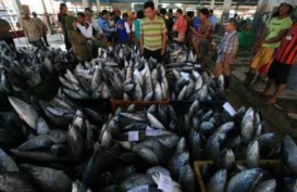 Perdagangan di Tempat Pelelangan Ikan Pekalongan Mulai Bergeliat