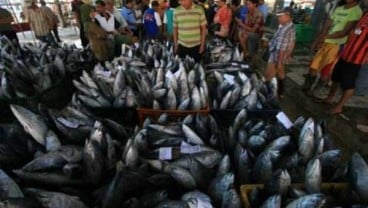 Perdagangan di Tempat Pelelangan Ikan Pekalongan Mulai Bergeliat