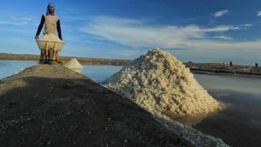 Pacu Produksi Garam Dengan Membuka  Lahan Baru