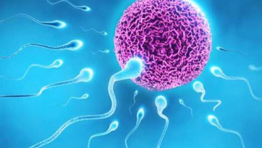 Benarkah Polusi Udara Mempengaruhi Kualitas Sperma?
