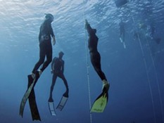 Free Dive, Olah Raga Super Ekstrem yang Kian Diminati