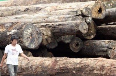 Pelaku Industri Kayu Olahan Sebut Ekspor Log Berisiko Merusak Hutan