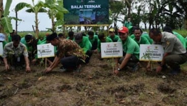 Peternak Ditekan Harga Pakan yang Makin Mahal