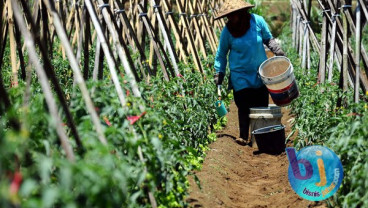 NTP Jabar November Naik 0,62%