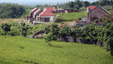 Produktivitas Lahan Pertanian di Bandung Harus Ditingkatkan