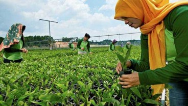 PEMBATALAN RKU RAPP : Izin Usaha Dipandang Tetap Berlaku