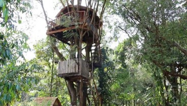 Ingin Mendapat Pengalaman Seru? Kunjungi 3 Destinasi Ini di Luar Negeri