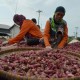 Bawang Merah Memacu Inflasi Jateng