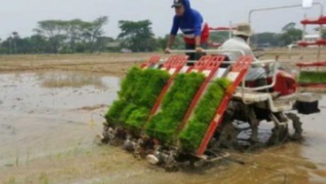 MESIN TANAM PADI : Jarwo Tipe Riding Diluncurkan