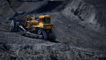 Bakal Tingkatkan Produksi, Samindo Resources (MYOH) Siapkan Capex US$13,8 Juta   