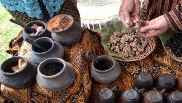 Tak Mendapat Stempel Belanda, Situbondo Setop Produksi Kopi Luwak