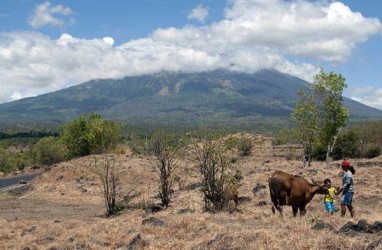 103 Kabupaten Bakal Kembangkan Sapi, Impor Indukan Diizinkan