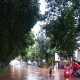 Presiden Jokowi Optimistis Dua Waduk Ini Bisa Kurangi Banjir Jakarta