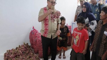 Sulit Tembus Pasar, Bulog Siap Serap Bawang Merah Lokal
