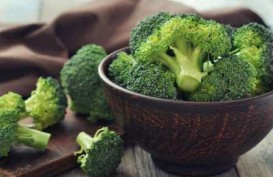 10 Alasan Mengapa Anda Harus Mengonsumsi Sayur Brokoli