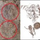 28 Lukisan Batu Berusia 2.500 Tahun Ditemukan di Indonesia