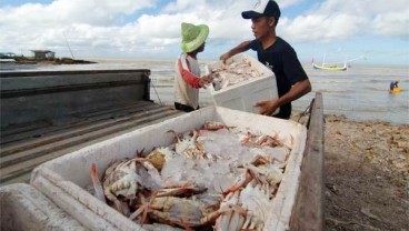 EKSPOR IKAN SEGAR JATENG : AS & Jepang Pasar Utama  