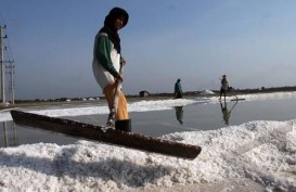 Padang Memerlukan 24.000 Ton Garam Per Tahun