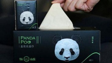 Perusahaan di China Olah Kotoran Panda Jadi Kertas Tisu