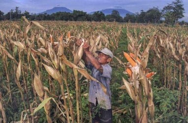 Kopjaganti Manfaatkan Berbagai Produk Inovasi