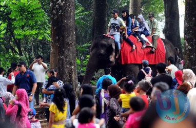 LIBUR NATAL & TAHUN BARU 2018: Pengunjung Bunbin Bandung Tembus Angka 9.000