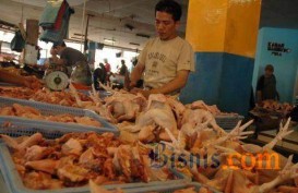 Harga Daging Ayam dan Cabai di Pasar Legi Naik