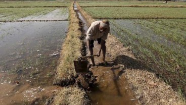 TOKO TANI INDONESIA : Kementan Targetkan 20 Provinsi