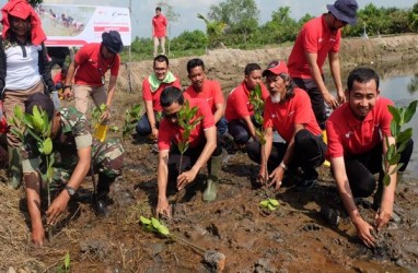 MOR I Kembali Hijaukan Pesisir Medan dengan Ribuan Mangrove