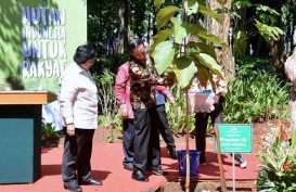 Menteri Siti Nurbaya Ajak Pakar Lingkungan Silaturahmi ke PBNU