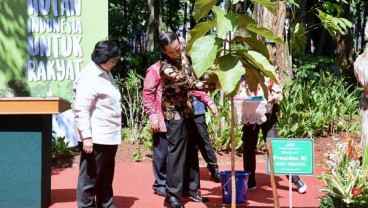 Menteri Siti Nurbaya Ajak Pakar Lingkungan Silaturahmi ke PBNU