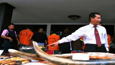 Akhirnya China Larang Perdagangan Gading Gajah